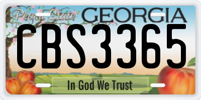 GA license plate CBS3365