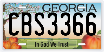 GA license plate CBS3366