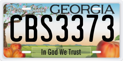 GA license plate CBS3373
