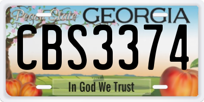 GA license plate CBS3374