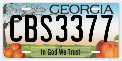 GA license plate CBS3377