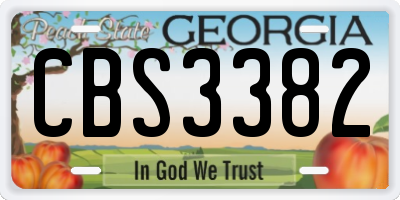 GA license plate CBS3382
