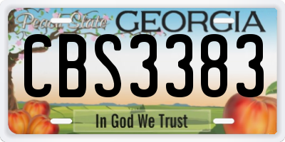 GA license plate CBS3383