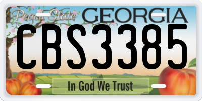 GA license plate CBS3385