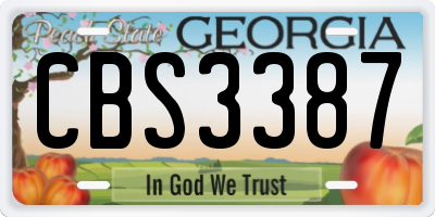 GA license plate CBS3387