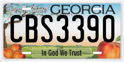GA license plate CBS3390