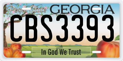 GA license plate CBS3393