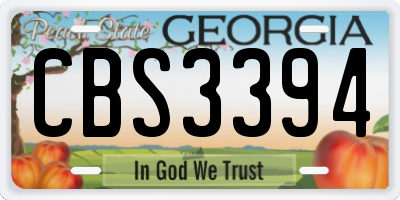 GA license plate CBS3394