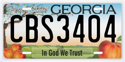 GA license plate CBS3404