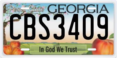 GA license plate CBS3409