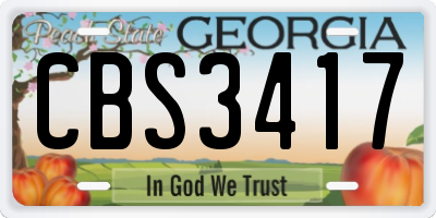 GA license plate CBS3417