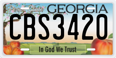 GA license plate CBS3420