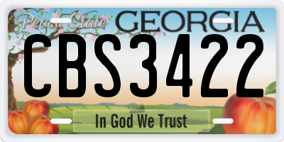 GA license plate CBS3422