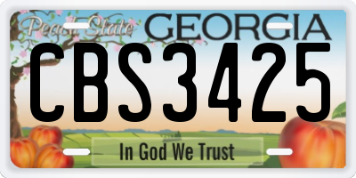 GA license plate CBS3425