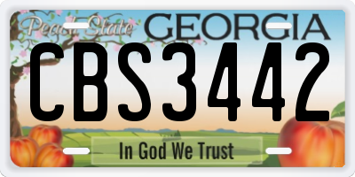 GA license plate CBS3442