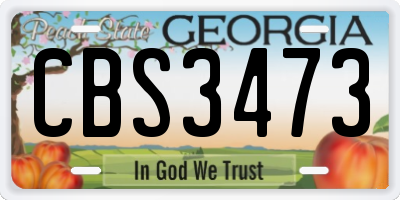 GA license plate CBS3473