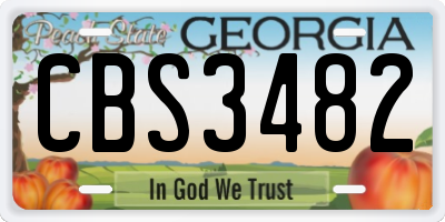 GA license plate CBS3482