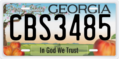 GA license plate CBS3485