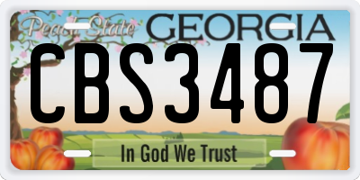 GA license plate CBS3487