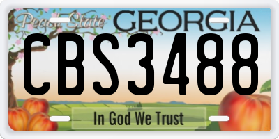 GA license plate CBS3488