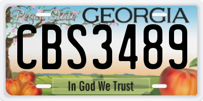 GA license plate CBS3489
