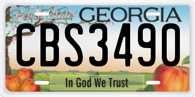 GA license plate CBS3490