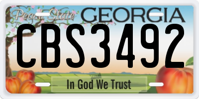 GA license plate CBS3492