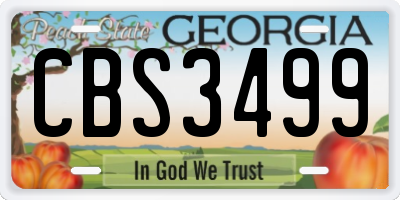 GA license plate CBS3499