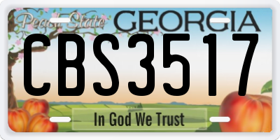 GA license plate CBS3517