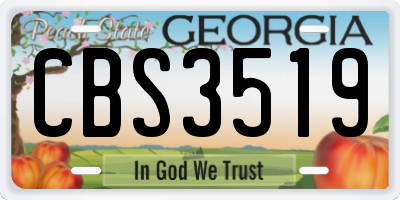 GA license plate CBS3519