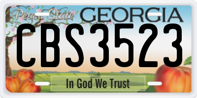 GA license plate CBS3523