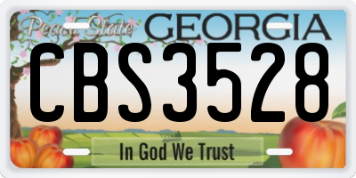 GA license plate CBS3528