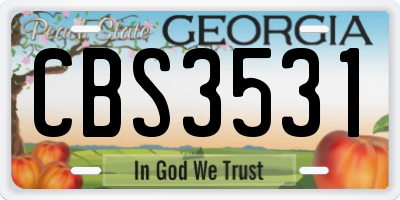 GA license plate CBS3531