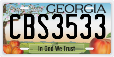 GA license plate CBS3533