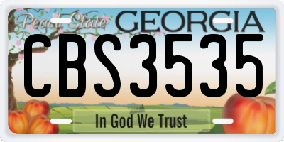 GA license plate CBS3535