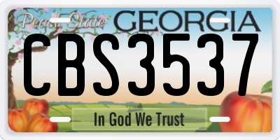 GA license plate CBS3537