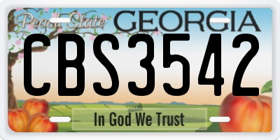 GA license plate CBS3542