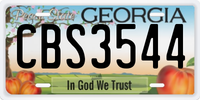 GA license plate CBS3544