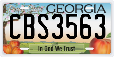 GA license plate CBS3563