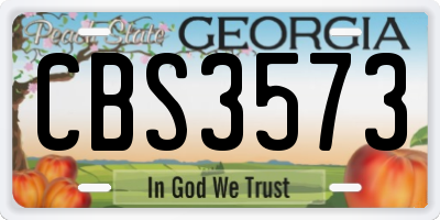 GA license plate CBS3573