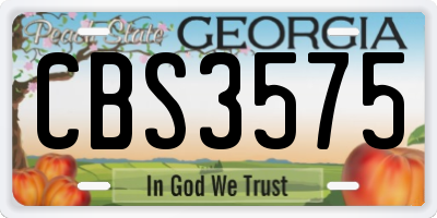 GA license plate CBS3575