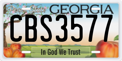 GA license plate CBS3577