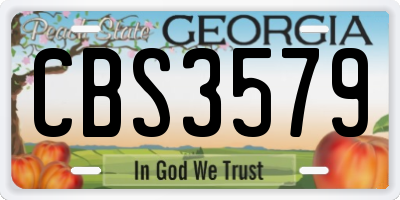 GA license plate CBS3579