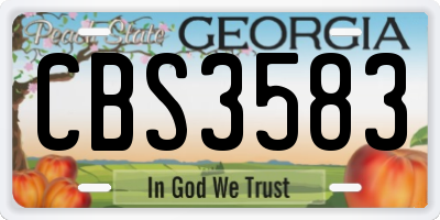 GA license plate CBS3583