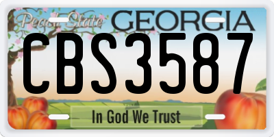 GA license plate CBS3587