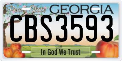 GA license plate CBS3593