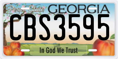 GA license plate CBS3595