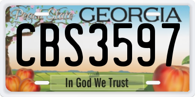 GA license plate CBS3597