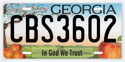 GA license plate CBS3602