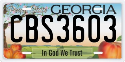 GA license plate CBS3603